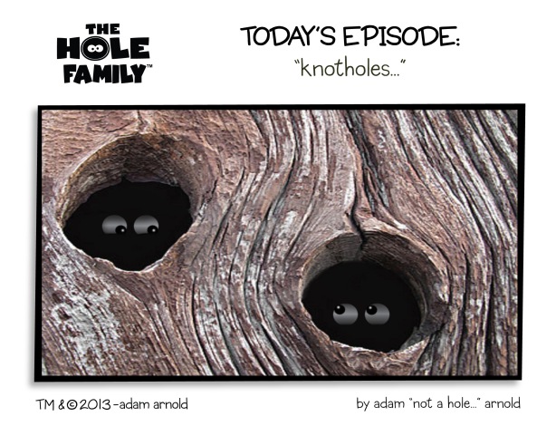 the_hole_family_hole_beachhole